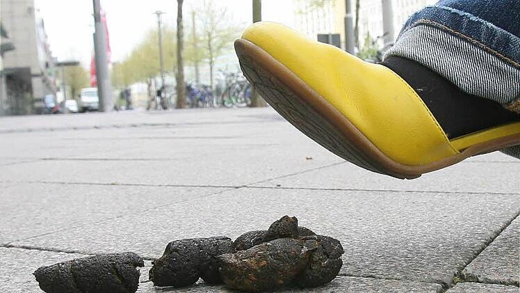 Hundekot auf einem Fußweg - in Ahorn soll damit jetzt Schluss sein! Foto: Peter Förster, dpa