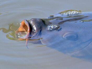Symbolfoto: Hartmut Reeh/dpa