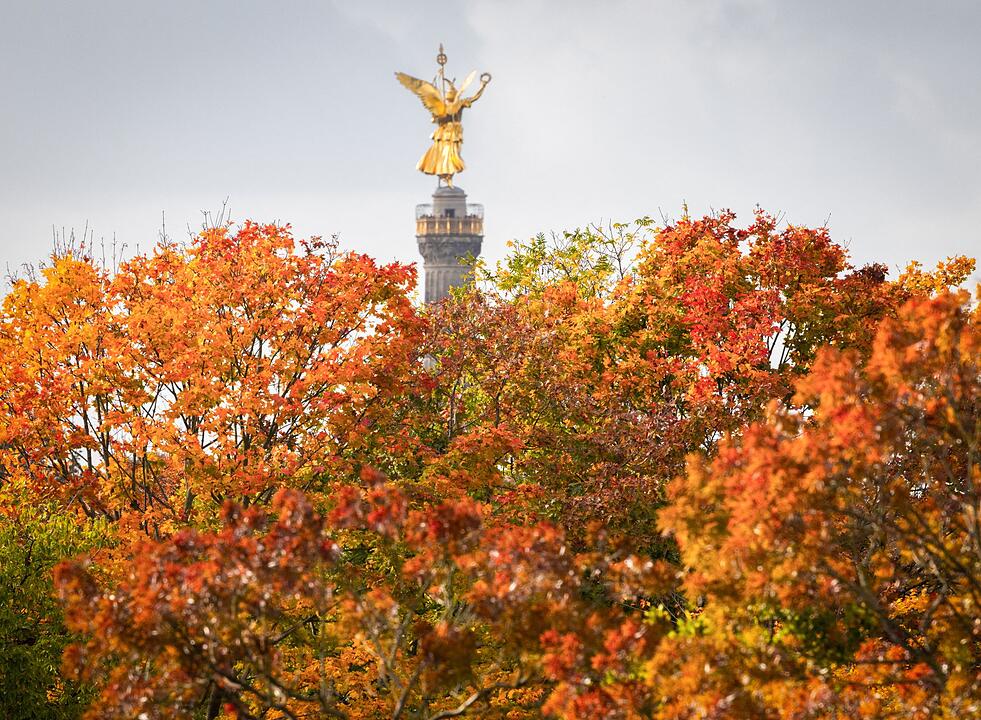 Herbstlicher Tiergarten
