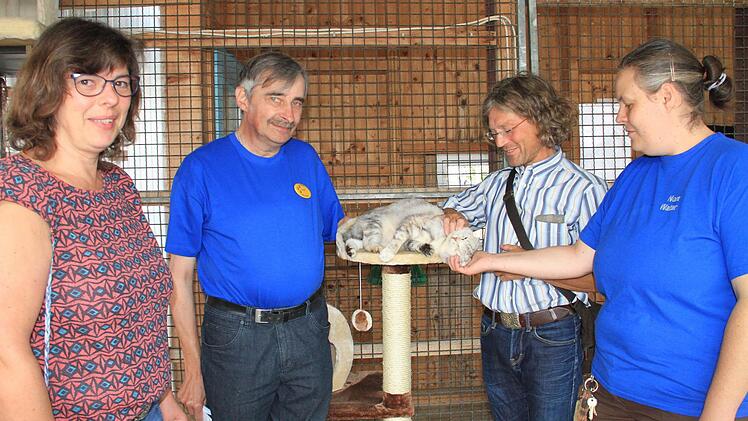 Im Katzenhaus gab es Streicheleinheiten für die Stubentiger (von links): Stadträtin Elke Werner, Rolf Herter, Vorsitzender des Tierschutzvereins, Tierheimleiterin Nora Walter und Stadtrat Stefan Hofmann.  Foto: Gerda Völk