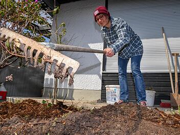 Lena Halbig recht Bienenweide-Samen in die Erde. Sie zieht das Saatgut teils selbst und bietet es in ihrem "Kästla" zum Tausch an.  Foto: Ronald Rinklef