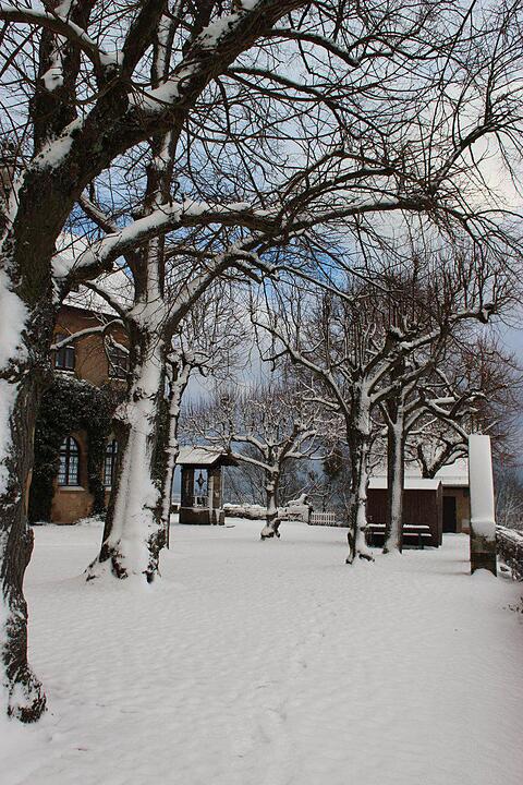 Schnee und Eis - Die schönsten Aufnahmen aus Franken