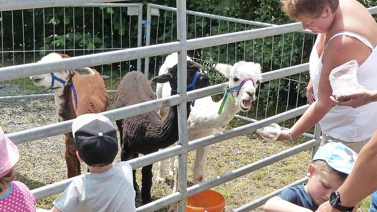 Ponyreiten und Alpakastreicheln gefiel vor allem den Kindern  Foto: Schaumberg Agrartourismus