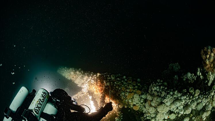Von deutschem U-Boot versenkt: Forscher tauchen zu Wrack