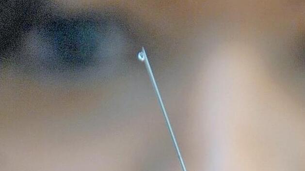 Impfen oder nicht impfen, das ist die Frage. Foto: Ronald Rinklef