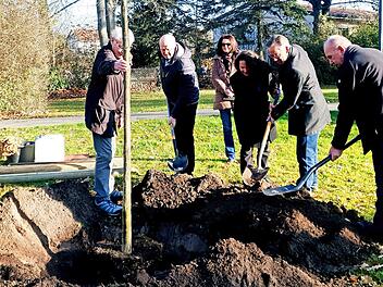 Der Landkreis Erlangen-Höchstadt pflanzte neben der evangelischen Kirche in Höchstadt eine Stieleiche.