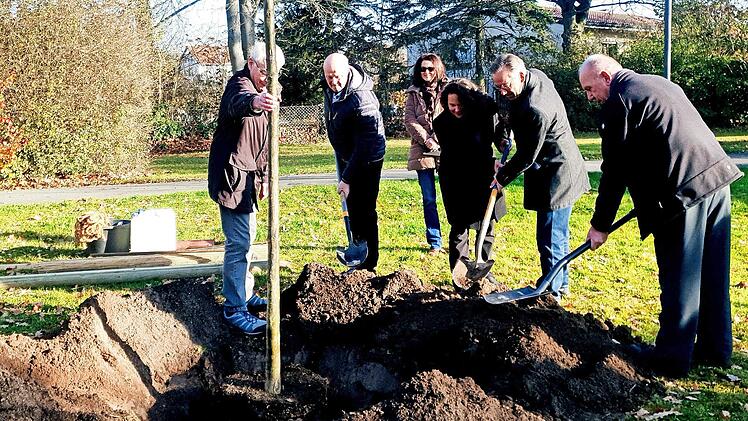 Der Landkreis Erlangen-Höchstadt pflanzte neben der evangelischen Kirche in Höchstadt eine Stieleiche.