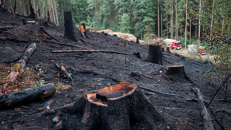 Waldbrand bei Buckenreuth