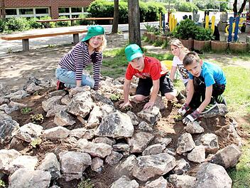 Milena, Alexander, Bianca und Stephan werkeln eifrig im Steingarten. Foto: Johanna Blum