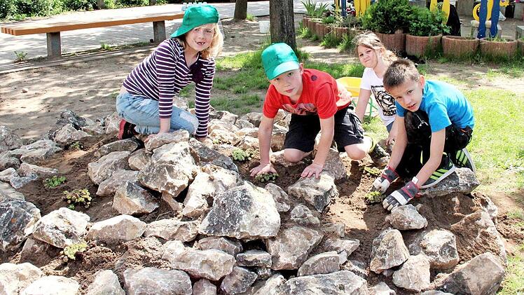 Milena, Alexander, Bianca und Stephan werkeln eifrig im Steingarten. Foto: Johanna Blum