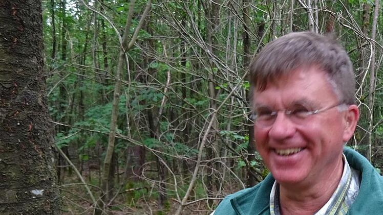 Wildkirschen sind schon reif. Michaela Hofmannn