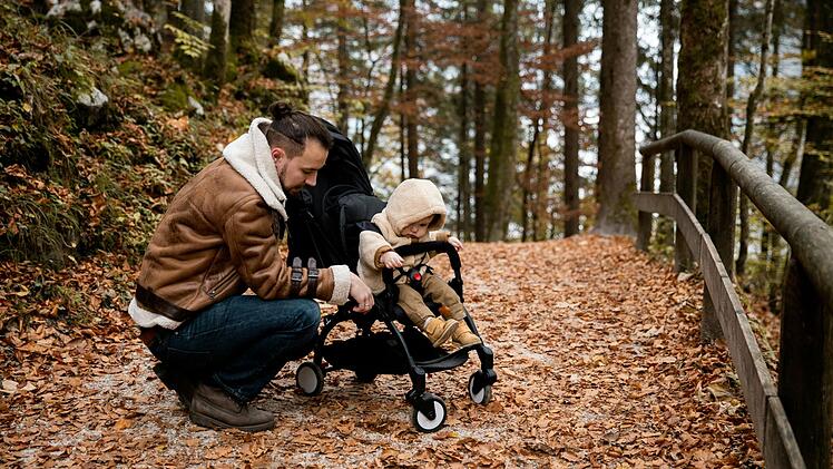 Kinderwagen, Wagen, Kinder, Ausflug, Familie, Baby, Trage, Familienausflug