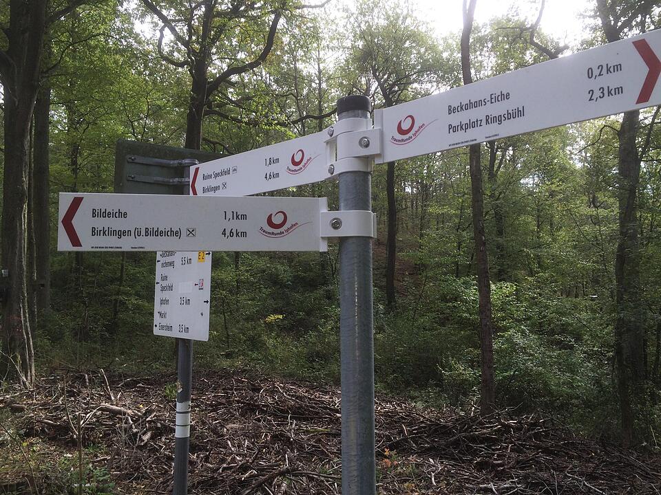TraumRunde Iphofen