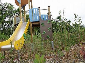 Auf dem Spielplatz greift langsam die Natur um sich. Foto: Arkadius Guzy