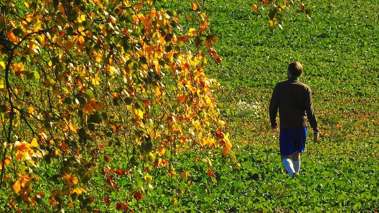 Herbststimmung: Beim B-Klassen-Spiel des TSV Mühlfeld gegen die DJK Schönau macht sich ein Gästespieler auf die Suche nach einem Ball. Quasi ein Spaziergang in der Natur bei herrlichem Sonnenschein.  Foto: Anand Anders