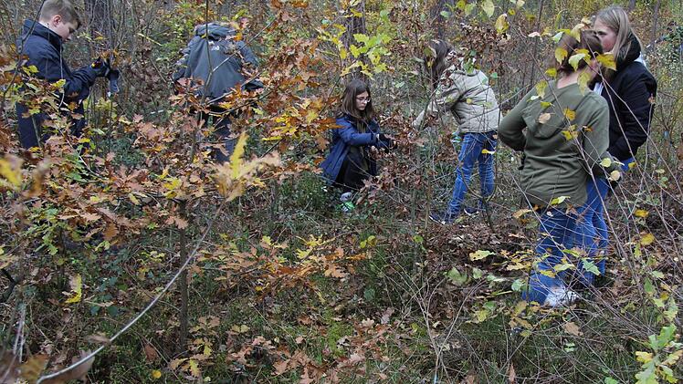 Realschüler bei der Waldarbeit Richard Sänger