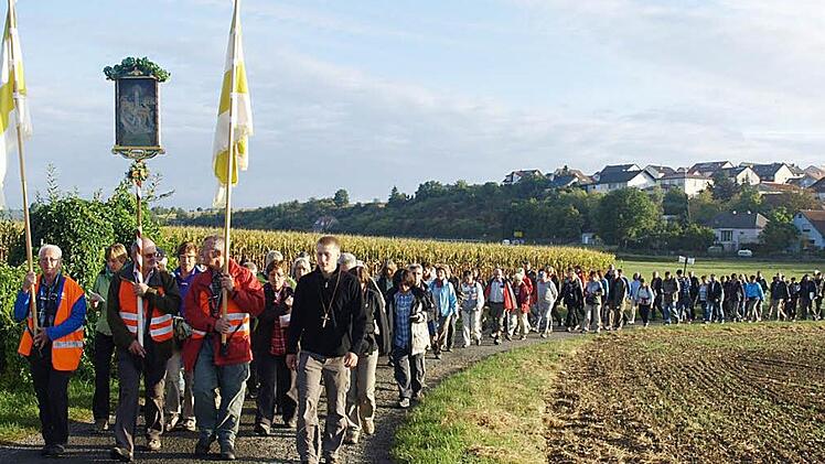 Mehr als 300 Pilger ziehen durch einen Wiesengrund bei Schwebenried.  Foto: Stefan Geiger