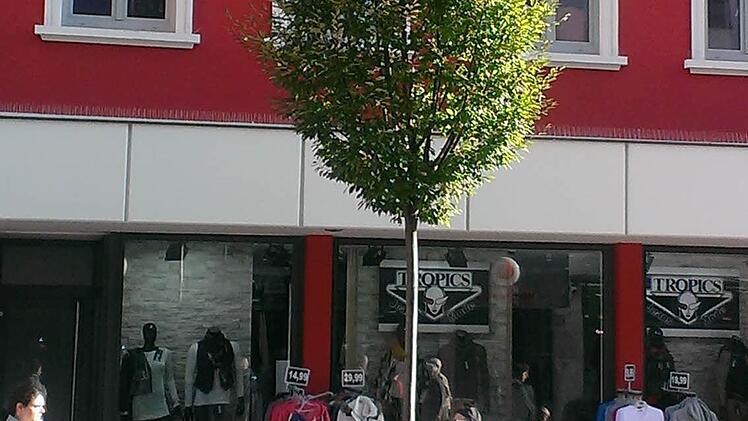 Dieser Baum im Trog steht in Schweinfurt. Die Forchheimer Stadträte überzeugte weder Optik noch Preis einer solchen Lösung. Foto: Tiefbauamt