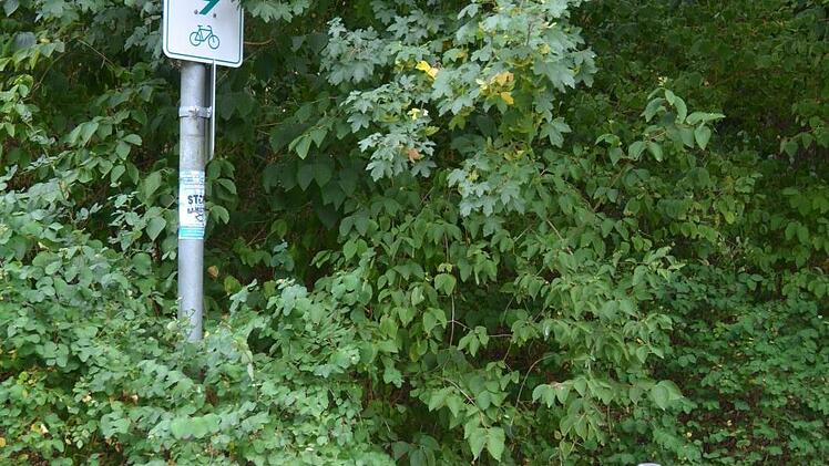 Radweg einerseits und die Aufforderung zum Schieben andererseits.