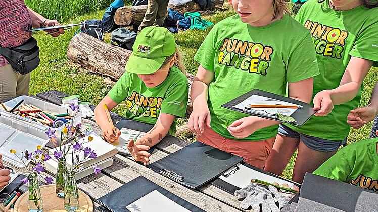 Junior-Ranger sind in Aktion bei der Pflanzenkunde. Melanie Chist&eacute;