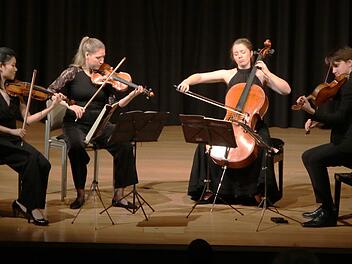 Das "Lazarus Quartett" begeisterte mit seiner Spielweise im Rahmen des VHS-Musikrings in Kronach. Foto: Klaus Klaschka