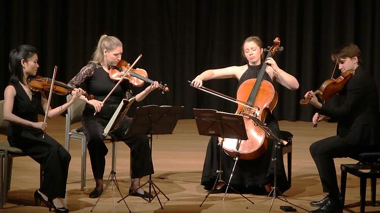 Das "Lazarus Quartett" begeisterte mit seiner Spielweise im Rahmen des VHS-Musikrings in Kronach. Foto: Klaus Klaschka
