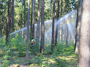 Da war noch genug Wasser da: Regenbogen entstanden, als in der Waldabteilung "Erlenhut" gelöscht wurde. Fotos: Helmut Will