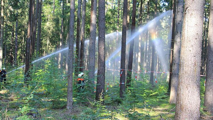 Da war noch genug Wasser da: Regenbogen entstanden, als in der Waldabteilung "Erlenhut" gelöscht wurde. Fotos: Helmut Will