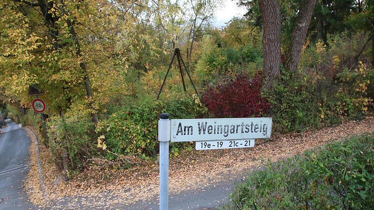 Das Interesse an den geplanten Bauplätzen Am Weingartsteig in Forchheim ist groß. Foto: Josef Hofbauer