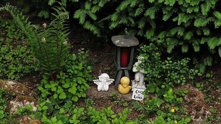 Sommerbild aus dem Garten Foto: Dieter Jochum