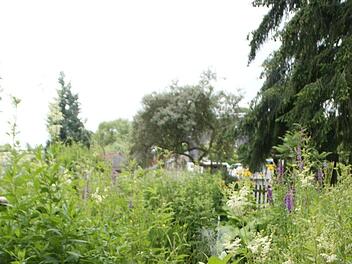 Viel Herzblut und Achtsamkeit im Umgang mit der Natur steckt im Garten von Salome Scholtens in Fatschenbrunn, die sich am Wettbewerb "Naturnaher Garten" beteiligt hat.  Foto: Sabine Weinbeer