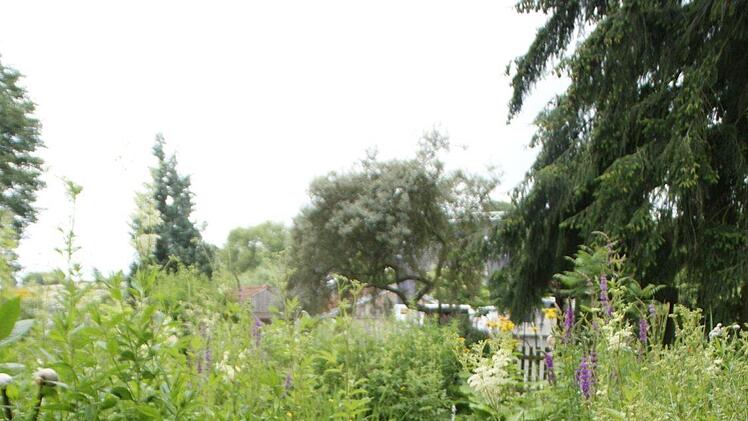 Viel Herzblut und Achtsamkeit im Umgang mit der Natur steckt im Garten von Salome Scholtens in Fatschenbrunn, die sich am Wettbewerb "Naturnaher Garten" beteiligt hat.  Foto: Sabine Weinbeer