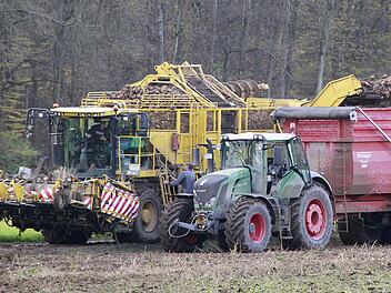 Zuckerrübenernte im Maintal: Die Lademaus (links) spuckt die vom Erdreich befreiten Früchte auf den Anhänger. Dann geht der Transport in die Zuckerfabrik. Fotos: René Ruprecht