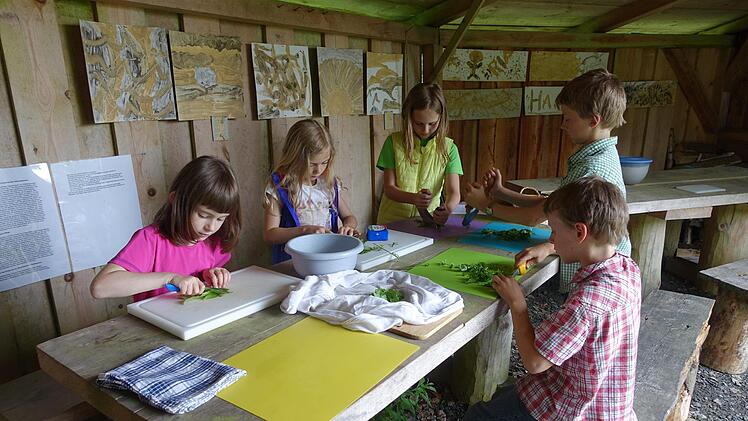 Selbst die Jüngsten können ein leckeres grünes Brötchen aus Kräutern mit zubereiten. Das Jugendwalheim lädt zur Wanderung Kräuter und Märchen Erwachsene wie Kinder gleichermaßen ein.  Foto: K.- H. Hofmann