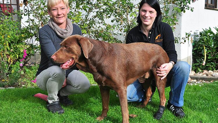 Monika Wehnert (links), Besitzerin des Labradorrüden Lenny, und die Hundephysiotherapeutin Tatjana Geier aus Burgebrach.