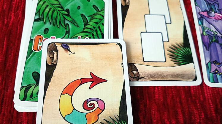Spiele-Test Coloretto: Kunterbuntes Familien-Kartenspiels