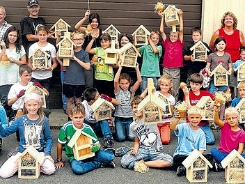 Wohnungen für Ohrwürmer &ndash; Hotels für Fledermäuse