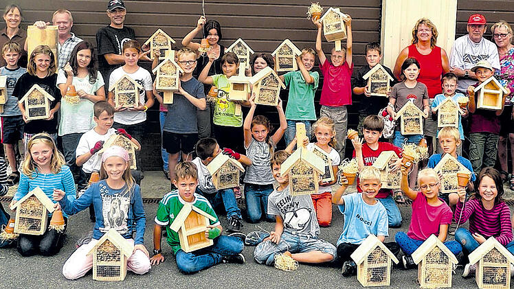 Wohnungen für Ohrwürmer &ndash; Hotels für Fledermäuse