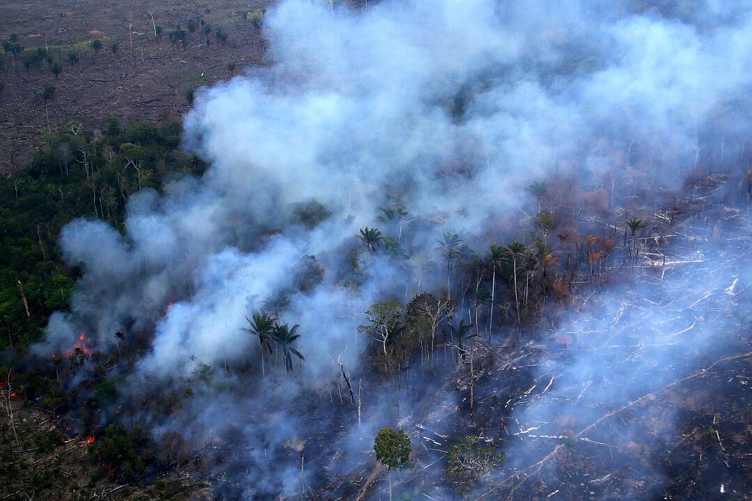 Waldbr&auml;nde im brasilianischen Amazonasgebiet