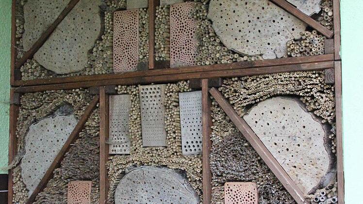 Insektenhotel  Foto: Friedwald Schedel
