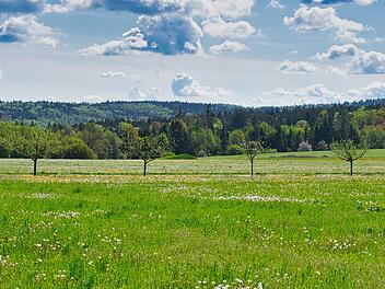 Sommerliches Wetter in Franken: Wird die W&auml;rme dr&uuml;ckend oder angenehm?