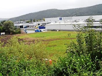 Eine Stärkung des Wirtschaftsstandortes Kronach bedeutet die Erweiterung der Firma Dr. Schneider Kunststoffwerke in Neuses. Auf diesem Gelände im Vordergrund werden zwei weitere Gebäude für Technologie und Pozesscenter entstehen. Foto: K.- H. Hofmann