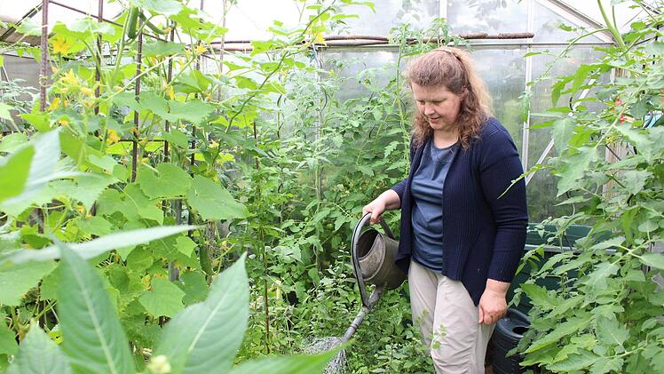 Kerstin Schmidt zieht in ihrem Gewächshaus unter anderem zwölf verschiedene Tomatensorten, Gurken, Chili, Honigmelonen und Kräuter. In der Ecke des Gewächshauses steht eine Regentonne, die durch ein Rohr nach draußen mit Wasser vollläuft.  Fotos: Cindy Dötschel