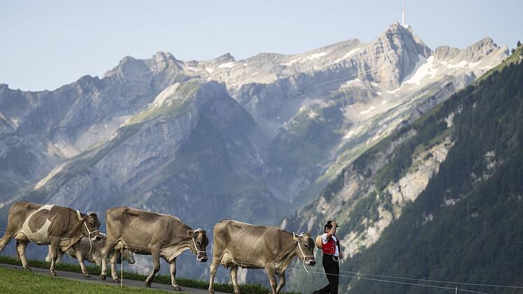 Risse im Schweizer Sicherheitsimage
