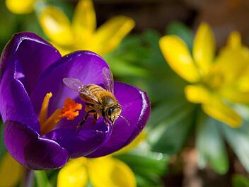 Foto: Patrick Pleul/dpa