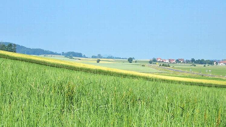 Auf dieser Fläche zwischen Wiesenfeld und Neida soll der neue Verkehrslandeplatz gebaut werden. Foto: Rainer Lutz
