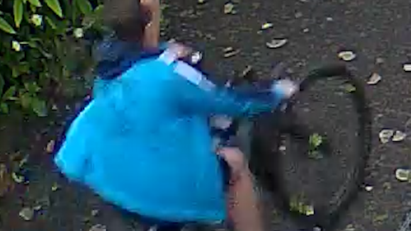 Der bisher Unbekannte soll eine blaue Jacke und weiße Turnschuhe getragen haben.