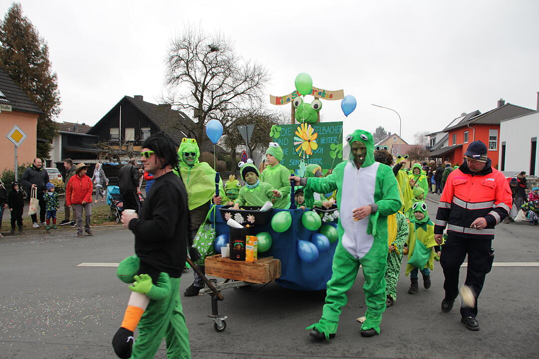 Faschingsumzug in Oberhaid