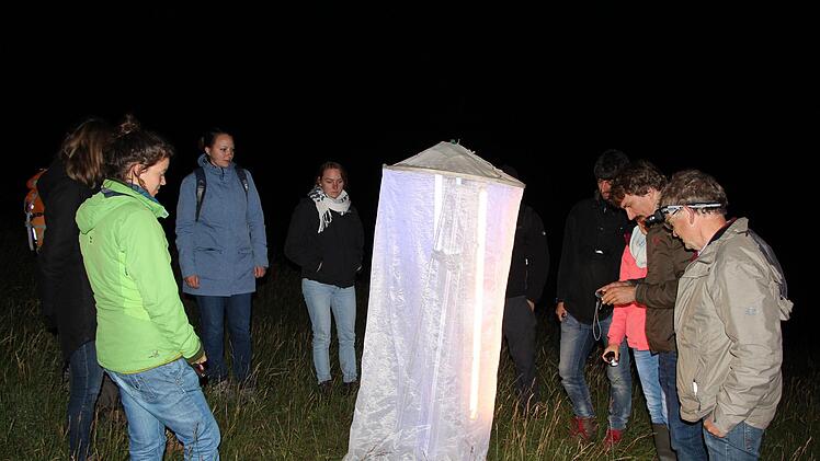 Gerade wurden beim Artenkennerseminar diese Lichtfanganlage aufgestellt, mit der schonend Nachtfalter angelockt werden.   Rainer Glissnik