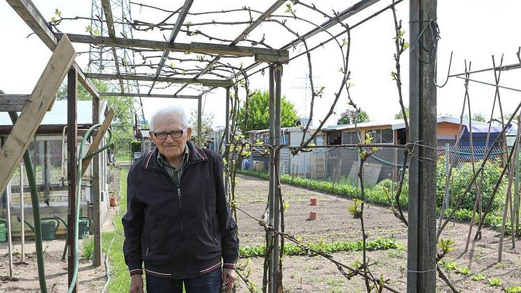 Hier wächst der Wein ... Foto: Barbara Herbst